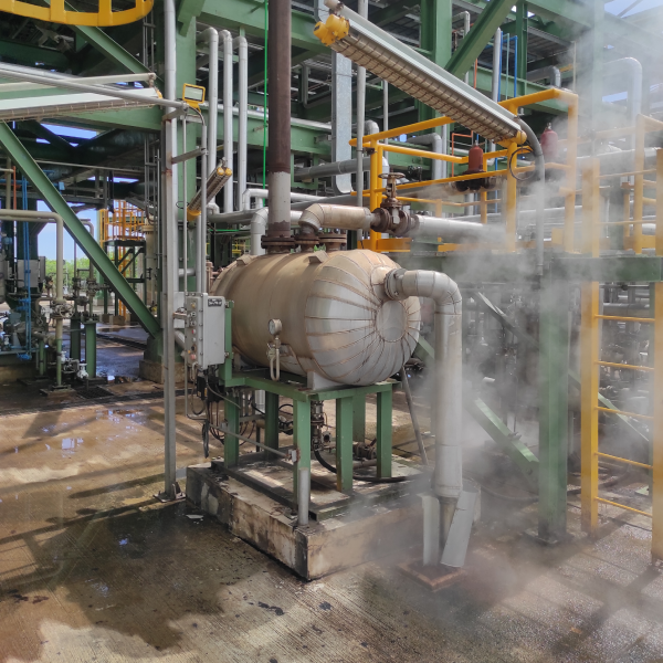 Survey - Condensate Recovery System 1